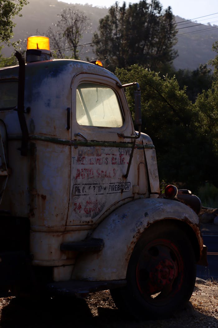 An abandoned and rusty old truck sits under trees, reflecting a nostalgic past.